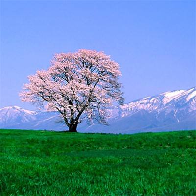 365足球外围平台截图