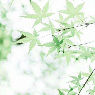 捕鱼能下分的