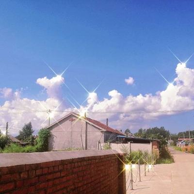 乐鱼游戏app在线登录app下载