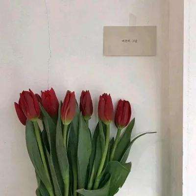 黎中芳