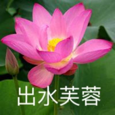 云开登录